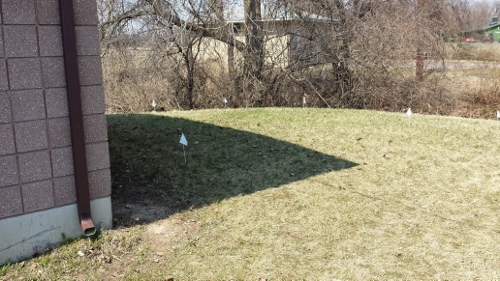 Winton Rain Garden 2014 (10)